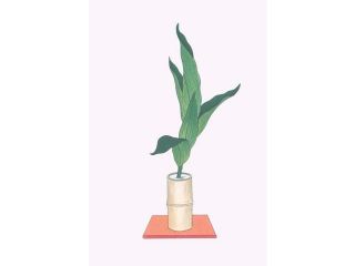 Buy Enlarge 0 587 26586 8P20x30 Haran   Five Aspidistra Leaves in Bamboo vase  Paper Size P20x30