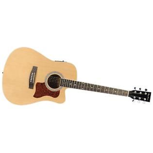 Spectrum Musical  AIL 259AE Full Size Black & Spruce Cutaway Acoustic
