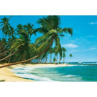 Ideal Decor 100 in. x 144 in. Sudsee Wall Mural DM220