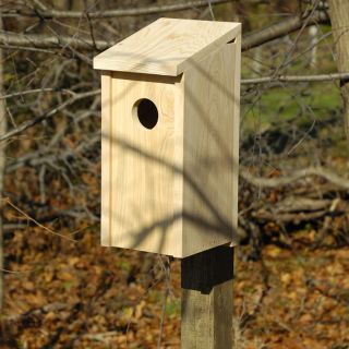 Heartwood 10 in W x 19 in H x 8 in D Unfinished Cypress Bird House