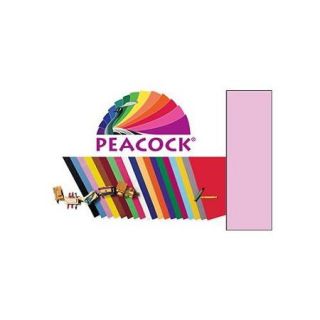 4 PLY RR POSTER BOARD 25 SHT PINK SCBPAC54681 6 (pack of 6)