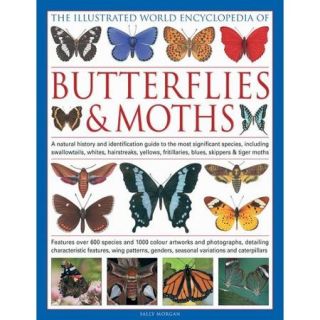 The Illustrated World Encyclopedia of Butterflies & Moths: A Natural History and Identification Guide to the Most Significant Species, Including Swallowtails, Hairstreaks, Yellows, Fritillaries, Blues, Skipper