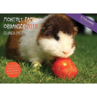 Magnet™ & Steel Guinea Pigs 2015 Wall Calendar