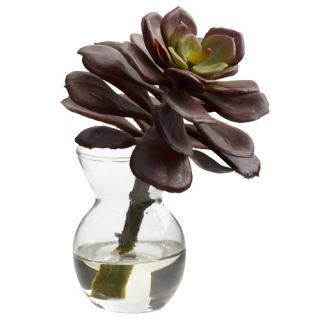 Nearly Natural Nearly Natural Succulent Arrangements Desk Top Plant in