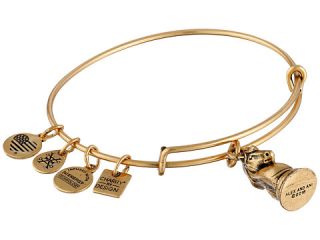 Alex and Ani Charity By Design   The Knight Charm Bangle Gold