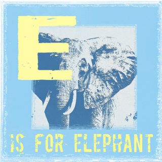 Graffitee Studios Animal Alphabet E is for Elephant Graphic Art on