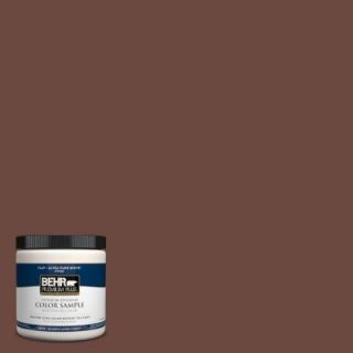 BEHR Premium Plus 8 oz. #S G 750 Chocolate Sprinkle Interior/Exterior Paint Sample S G 750PP