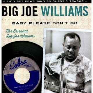 Baby Please Dont Go: The Essential Big Joe Williams