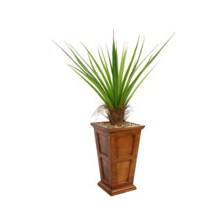Laura Ashley 63 Tall Agave Plant with Cocoa Skin in 16 Fiberstone