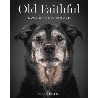 Old Faithful: Dogs of a Certain Age