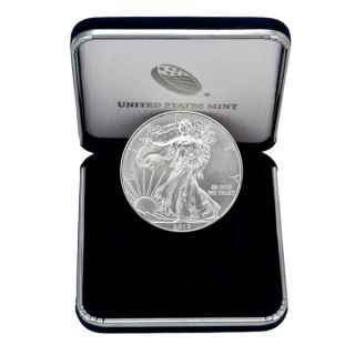 US Treasury 1 ounce Silver American Eagle Coin   17213832  