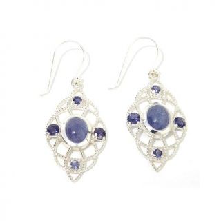 Himalayan Gems™ 9.4ct Tanzanite and Iolite Sterling Silver Earrings   7930432