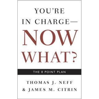 You're in Charge  Now What?: The 8 Point Plan