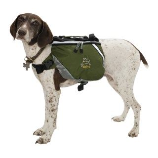 OllyDog Dog Pack   Medium  97164 36