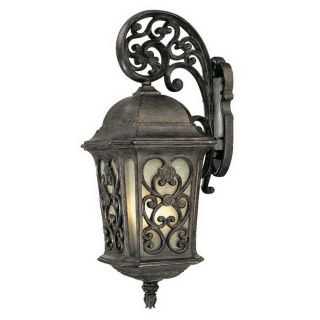 Acclaim Lighting Manorgate 31 in Black Coral Outdoor Wall Light