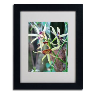 Kathie McCurdy Orchids I Framed Matted Art   15422308  