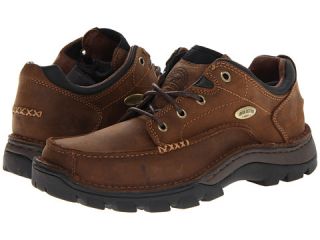 Irish Setter Borderland Oxford