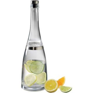 Prodyne Fusion Cocktail Shaker and Spirit Infuser Bottle