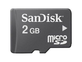 SanDisk 2 GB microSD   1 Card