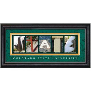 Colorado State Rams 8 x 16 Framed Letter Art