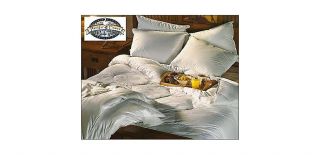 Pacific Coast Down Comforters and Pillows