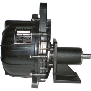 Pacer Pumps Pedestal Centrifugal Pump — 9600 GPH, 2in. Ports, Model# SE2FL CSS  Centrifugal Pumps