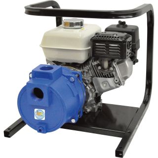 IPT Cast Iron Self-Priming Trash Water Pump — 2in. Ports, 11,000 GPH, 1in. Solids Capacity, 160cc Honda GX160 Engine, Model# 2TS5HCB  Engine Driven Full Trash Pumps