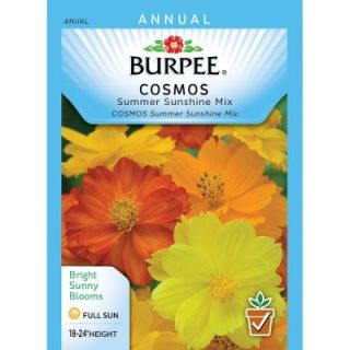 Burpee Cosmos Summer Sunshine Mix Seed 37058