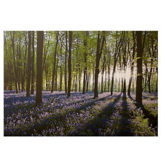 Graham & Brown Printed canvas Bluebell landscape wall art