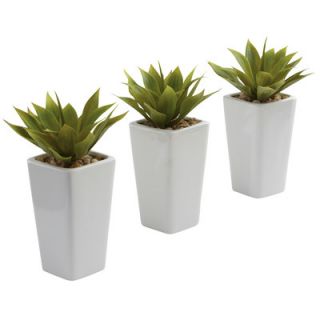 Nearly Natural Nearly Natural Mini Agave Desk Top Plant in Planter