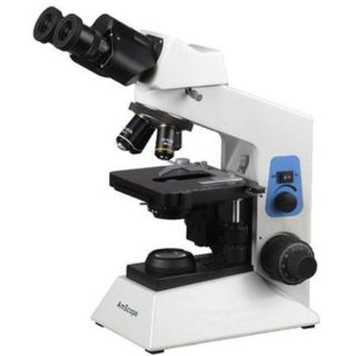 AmScope B580B 2000X Professional Binocular Biological Research Microscope