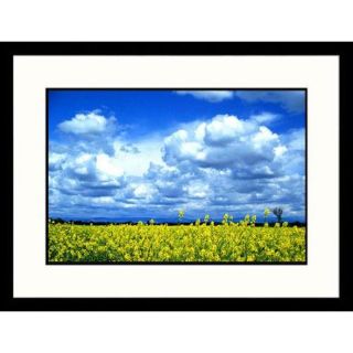 Great American Picture Landscapes 'Merced Flowers in Field, California' by David Carriere Framed Photographic Print