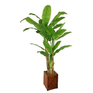 Laura Ashley 81 inch Tall Banana Tree with Real Touch Leaves in 13